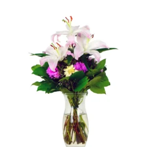 White Lily Plant